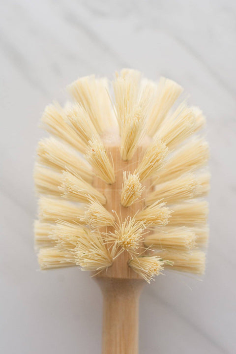 Bottle Brush