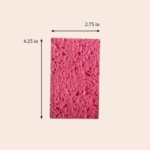 Compostable Cellulose Sponge