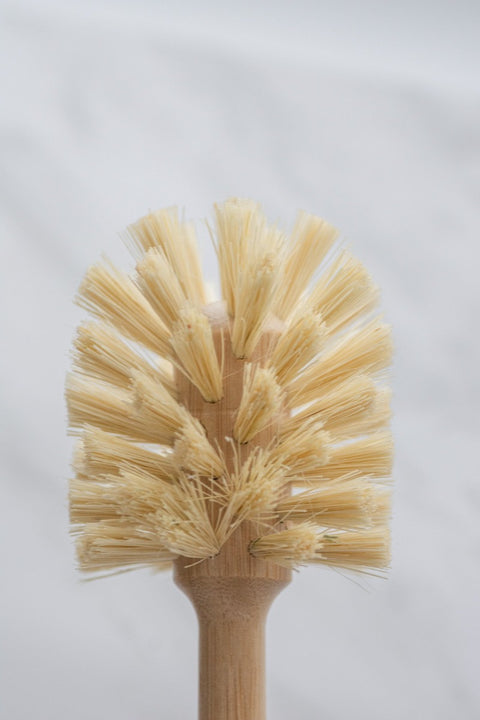 Long-Handled Dish Brush